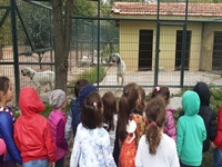 2014-15 Hayvanat Bahçesi Gezisi 