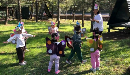 Kelebeğin Yaşam Döngüsü