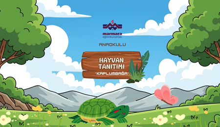 Hayvan Tanıtımı - Kaplumbağa